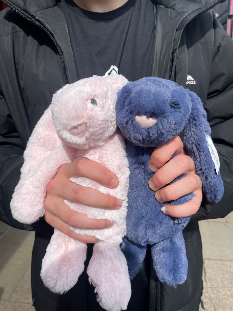 A pair of matching plush bunnies
